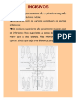 UEA - Descrição Dos Dentes PDF