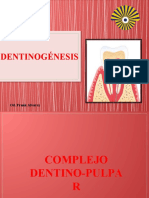 Dentinogénesis PDF
