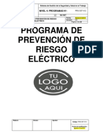 Programa-de-Prevencion-de-Riesgo-Ele.pdf