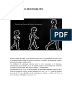 Crecimiento Del Hueso en El Nino
