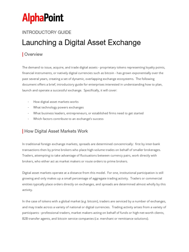 Launching A Digital Asset Exchange Introductory Guide PDF Market