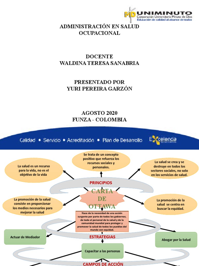 Mapa Mental - Ottawa | PDF | Promoción de la salud | Política