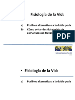 4 Fisiologa de La Vid Claudio Pastenes PDF