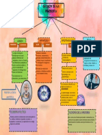 División de La Filosofía (Roxeli Cruz)