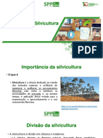 Silvicultura - PDF (Corrigido Elizangela)