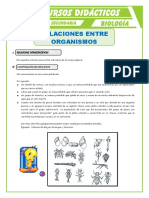 Relación Entre Organismos PDF