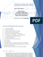 TALLER E3 DE DIVISION CELULAR diapositivas grupal (1).pptx