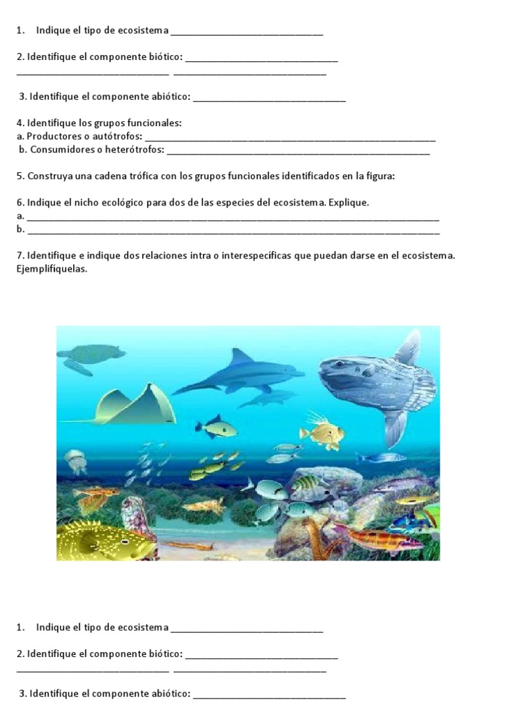 Taller Ecologia | PDF | Ecología | Ecosistema