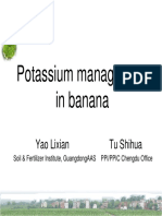 Potassium Management in Banana: Yao Lixian Tu Shihua