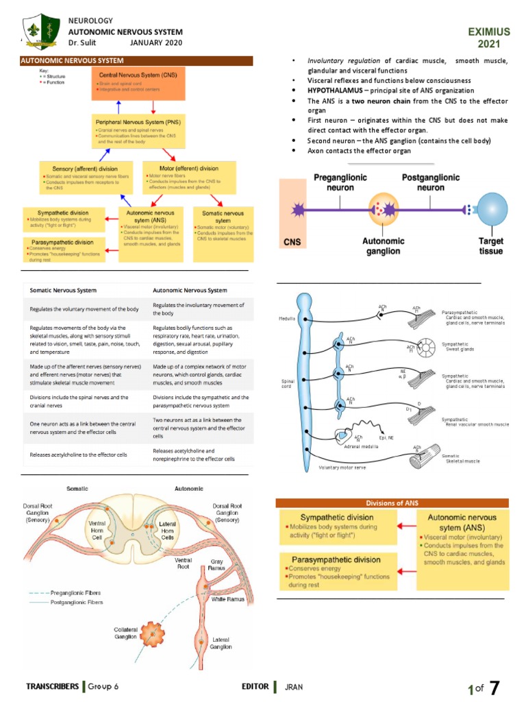 Autonomic Nervous System Overview | PDF | Autonomic Nervous System ...