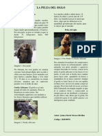 Características de Los Contrincantes PDF