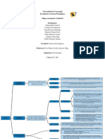 Mapa conceptual Unidad II Psicoterapia Facultad Ciencias Psicológicas Universidad Guayaquil