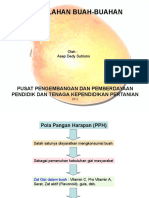 Pengolahan Buah-Buahan, P3G Cianjur, 2012