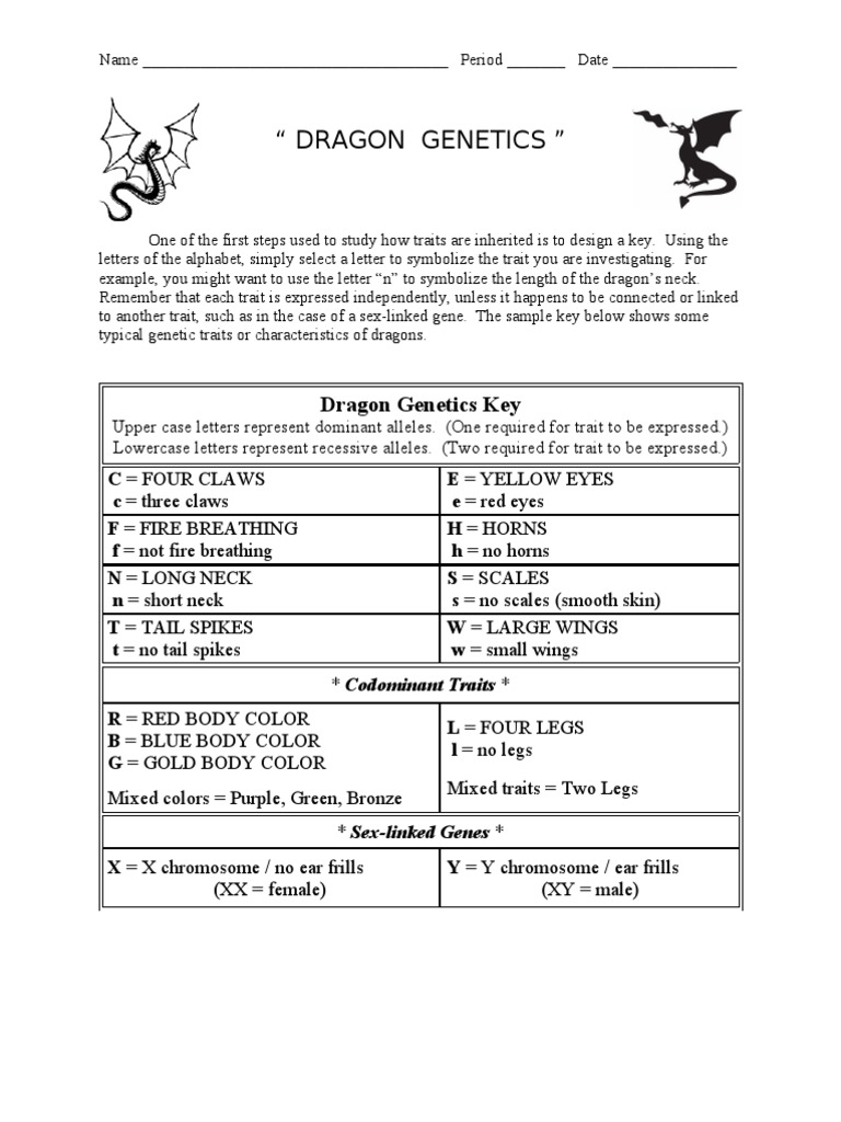 Dragon Genetics worksheet | Phenotypic Trait | Dominance (Genetics