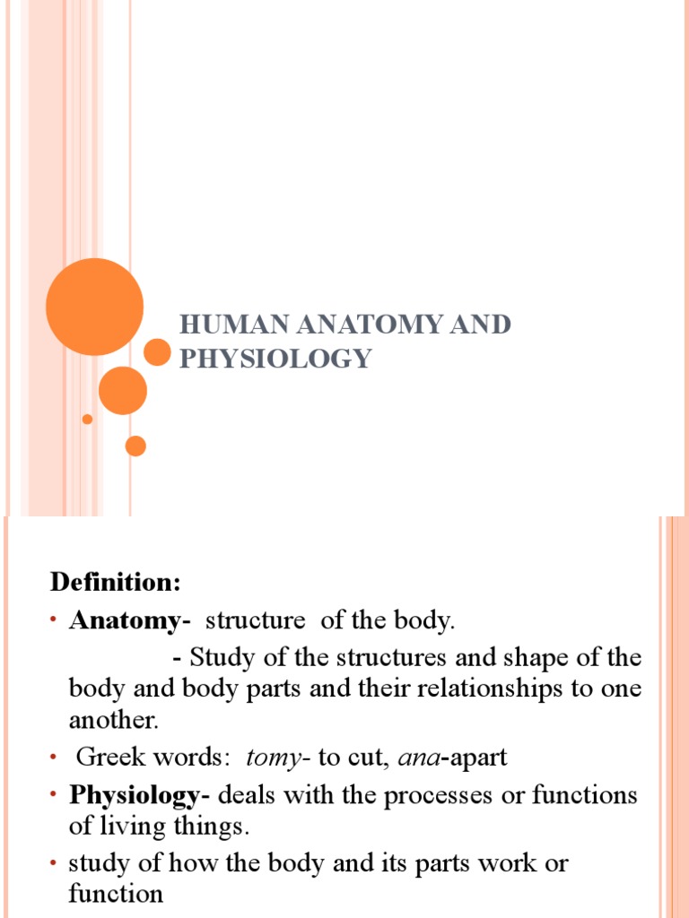 Introduction to Anatomy and Physiology | PDF | Human Body | Homeostasis