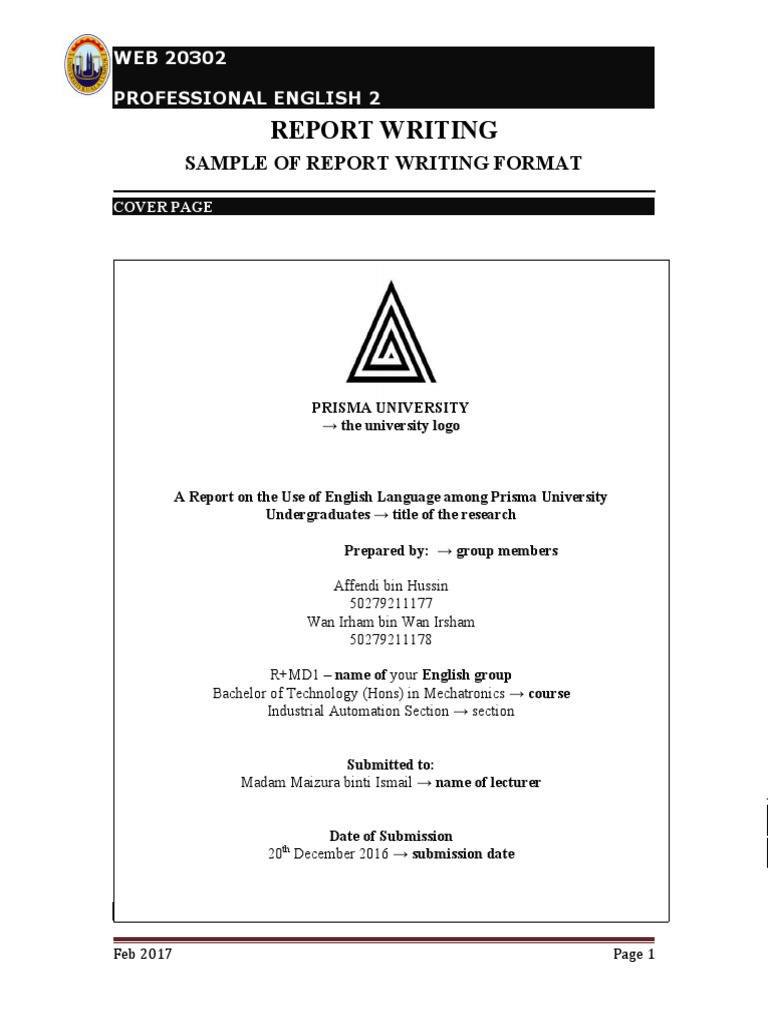English Usage Report for Students | PDF | English Language | World Wide Web