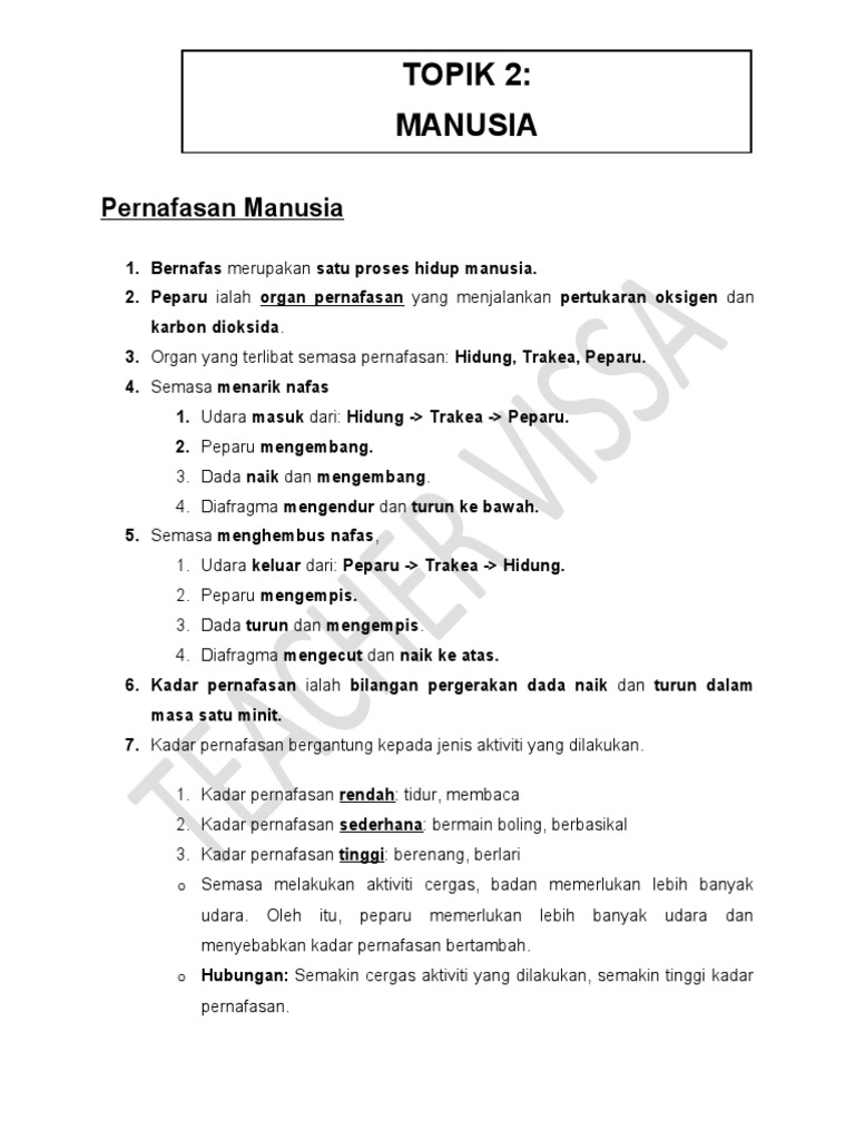 Pernafasan Manusia Pdf