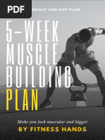 5 Week Workout Plan