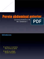 LP 5 Peretele Anterior Abdominal PDF