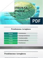 Pseudomonas Aeruginosa: Course Title: Microbiology Course Id: Bio208