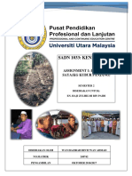 Kenegaraan Malaysia Asgmnt Individu (249742) PDF