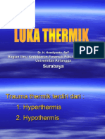Trauma Thermik 2