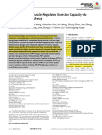 IRF4 in Skeletal Muscle Regulates Exercise Capacity Via PTG-Glycogen Pathway