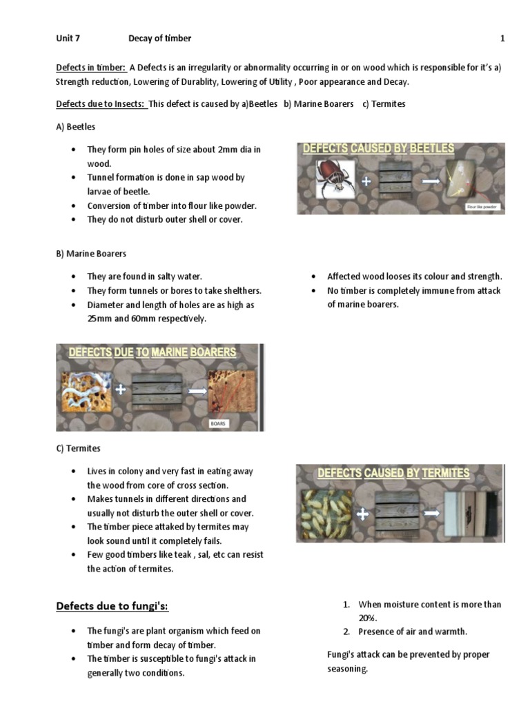 Timber Defects and Decay Causes | PDF | Decomposition | Wood