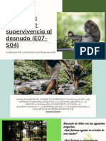 Exposicion Supervivencia Al Desnudo CARLOS ROJAS & ESTEBAN MALAVER PDF