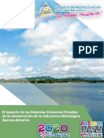 INFORME RSP AGOSTO2020 Borrador 1