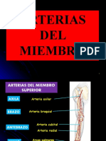 Arterias MS