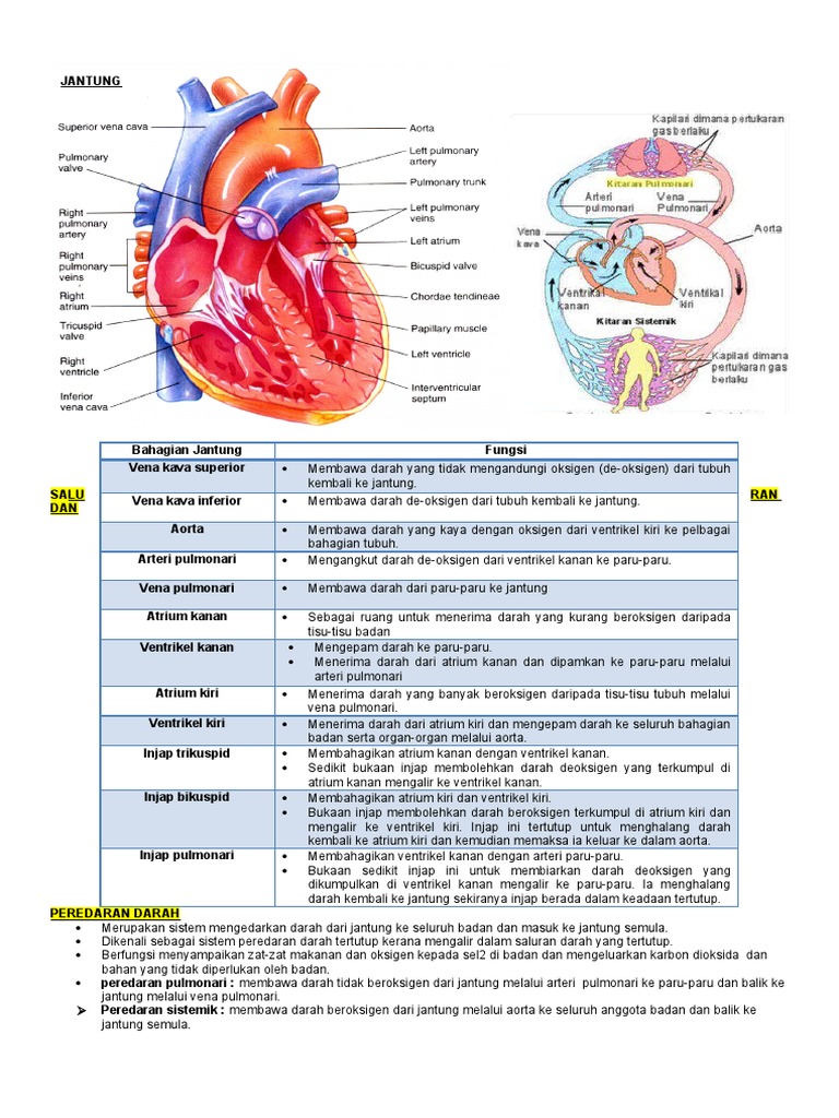 Gkk1043 Nota Ringkas Pdf