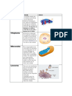 Biologi A