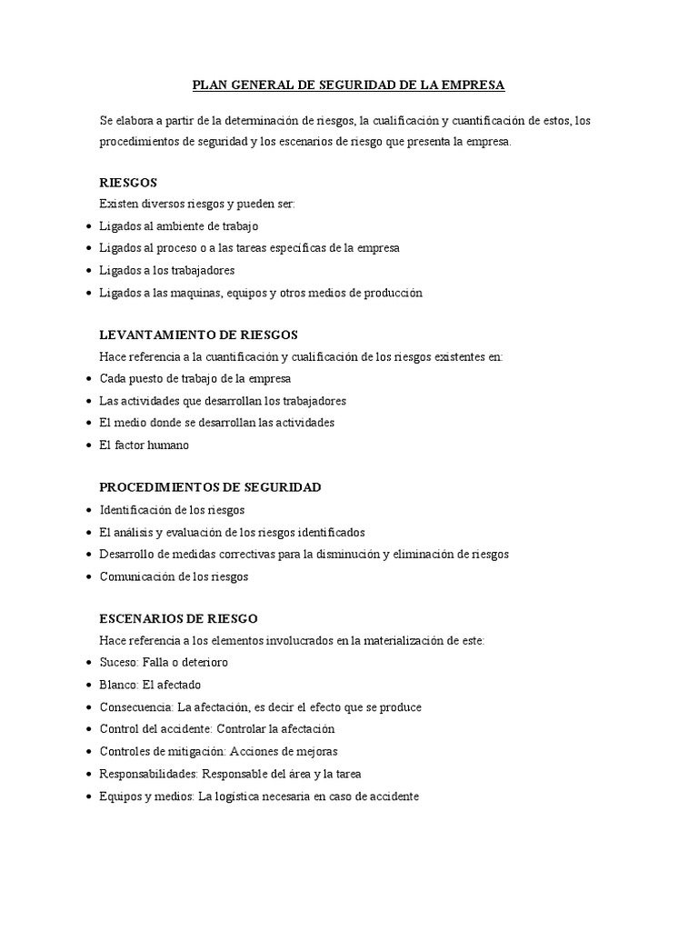 Plan 1 General de Seguridad de La Empresa | PDF | Business | Bienestar