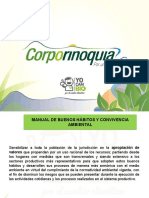 Presentación Manual - PPTX (Autoguardado)