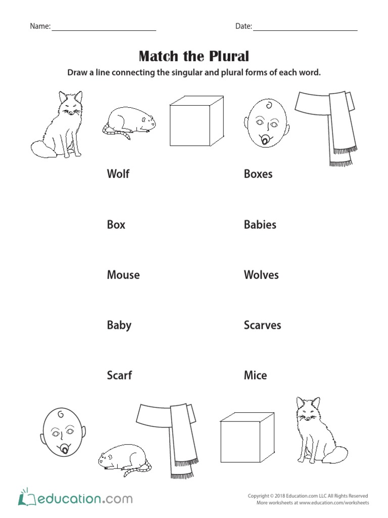 Match The Plural Wolf Boxes PDF