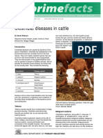 Clostridial Diseases in Cattle PDF