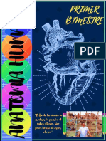 Anatomía Informe PDF