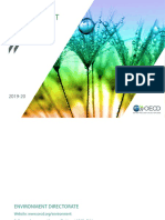 Brochure Oecd Work On Environment 2019 2020 PDF