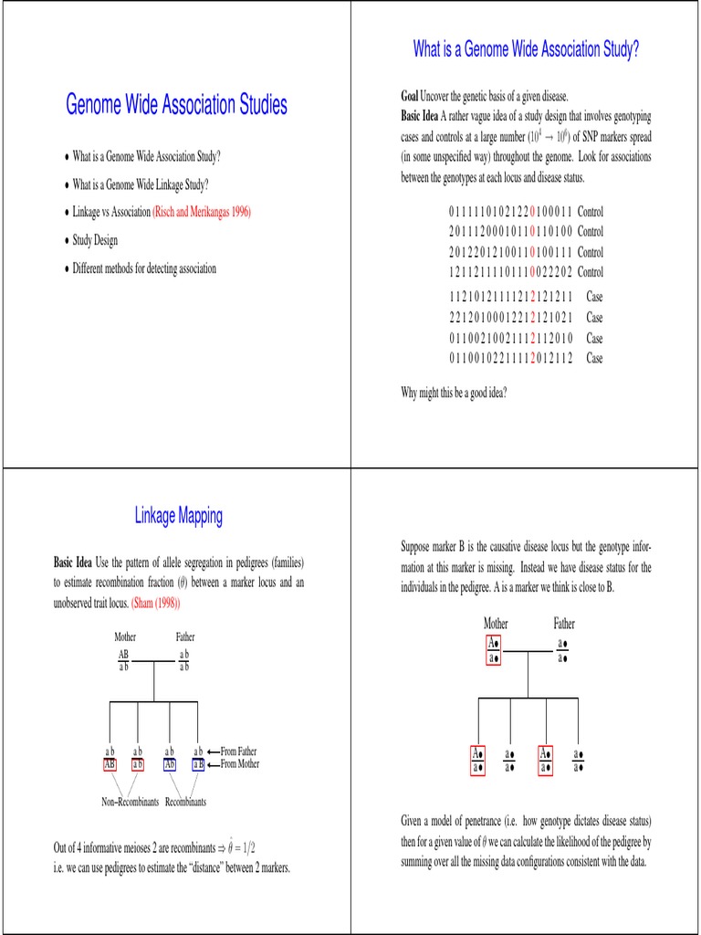 What Is A Genome Wide Association Study? | PDF | Genetic Linkage ...