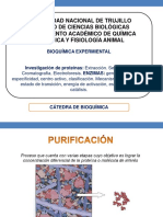 S2.Investigación de Proteinas-EnZIMAS