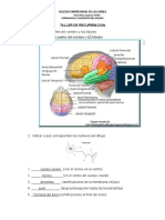 Taller de Recuperacion - Biologia