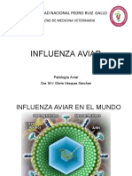 08 Influenza