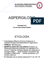05 Aspergilosis