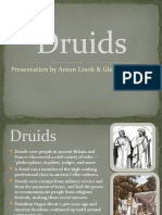 Druids: Presentation by Anton Linok & Gleb Mackevich