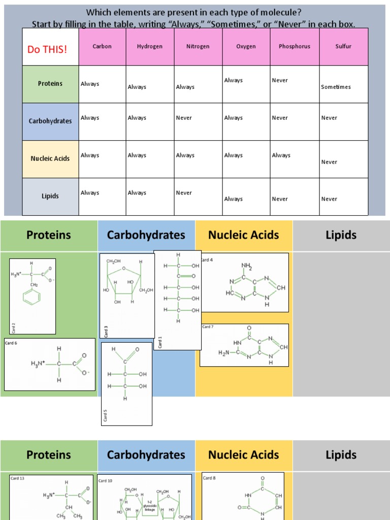Macromolecule Pattern Matching Guide | PDF | Carbohydrates | Proteins