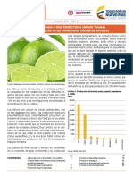 limon....pdf