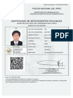 Antecedentes Policiales PDF