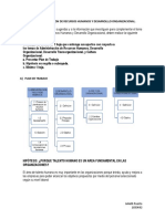 Desarrollo Organizacional PDF