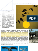 Conferencia 23. Aves PDF